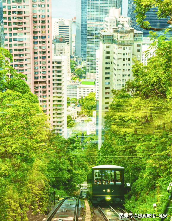 起点彩票网网站-海南太湖石室内装饰摆设石/承接太湖石假山设计与制作/太湖石窟窿石鱼池驳岸石